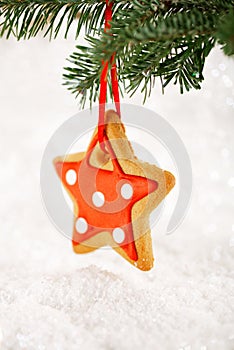 Gingerbread star cookies on white wood and snow background