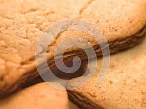 Gingerbread Stars Closeup