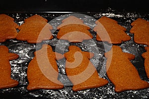 Gingerbread tree and pig