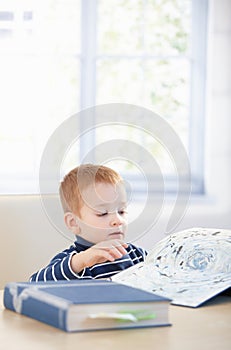 Gingerish kid studying cyclopaedia at home