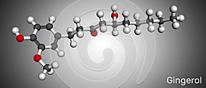 Gingerol molecule. It is phenol phytochemical compound, antineoplastic agent, is found in fresh ginger. Molecular model. 3D photo
