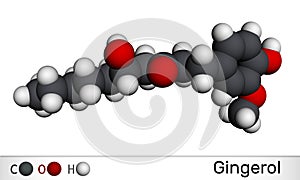 Gingerol molecule. It is phenol phytochemical compound, antineoplastic agent, is found in fresh ginger. Molecular model. 3D photo
