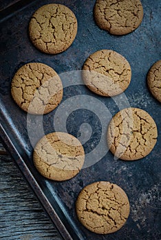 Gingersnap cookies