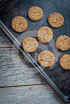 Gingersnap cookies for Christmas