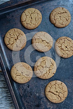 Gingersnap cookies for Christmas