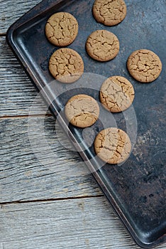 Gingersnap cookies for Christmas