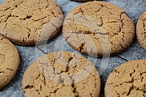 Gingersnap cookies for Christmas photo