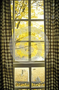 Gingham curtains framing view of Autumn leaves, Waterloo, NJ photo