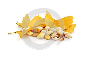 Gingko nuts with yellow gingko leaves