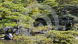 Ginjakuji Garden, Kyoto, Honshu Island, Japan