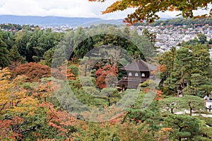 Templo a jardín tokio Japón 