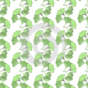 Ginkgo biloba hand drawn seamless pattern. Textile and wrapping paper design