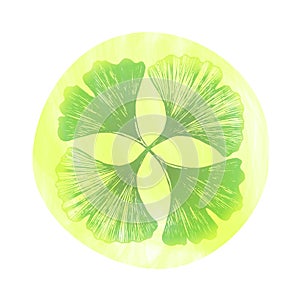 Ginkgo biloba icon from 4 leaves. Badge or logo for packaging useful plant ginkgo