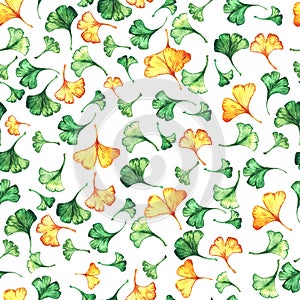 Ginkgo biloba leaves floral watercolor seamless pattern. Tree plant known as ginko or gingko. Ginkgo plant herbal
