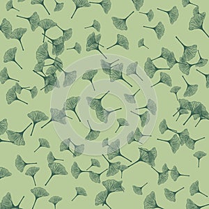 Ginkgo biloba leaves pattern, green ginkgo leaves background