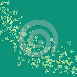 Ginkgo biloba leaves pattern, green ginkgo leaves background