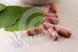 Ginkgo biloba leaves and pills