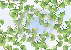 Ginkgo biloba leaves. Seamless pattern, background.