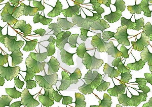 Ginkgo biloba leaves. Seamless pattern, background.