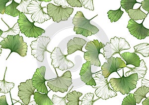 Ginkgo biloba leaves. Seamless pattern, background.
