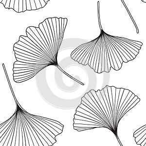 Ginkgo biloba tree leaf outlines, floral vector seamless pattern.