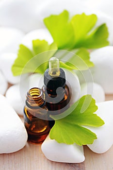 Ginko essential oil