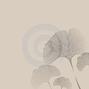 Ginko leaves floral imprint ornament photo