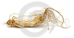 Ginseng