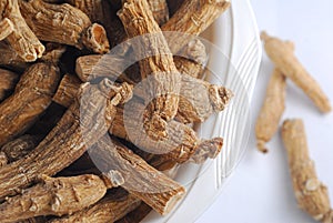 Ginseng