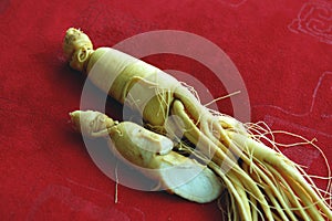 Ginseng photo