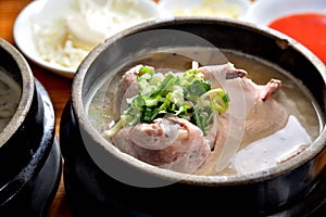 Ginseng chicken soup