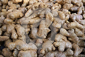 Ginseng ginger roots background pattern