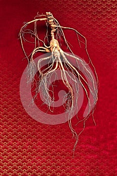 Ginseng herbal