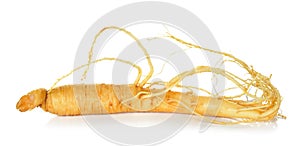 Ginseng isolated on the white background