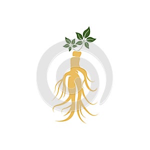 Ginseng logo design template and symbol icon