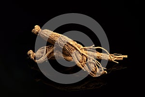 Ginseng or Panax ginseng on black background