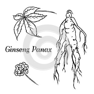 Ginseng panax set