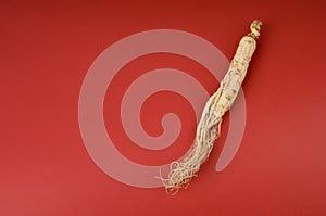 Ginseng on red photo
