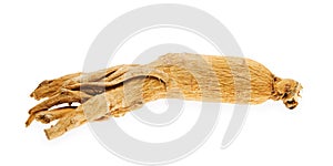 Ginseng root photo