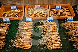 Ginseng root. Fresh roots on a market display. Korean speciality