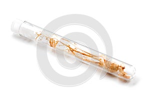 Ginseng root in glass  tube close-up isolated on white  background