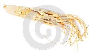 Ginseng root isolated on white background