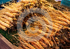 Ginseng root stick