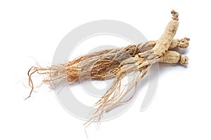 ginseng roots