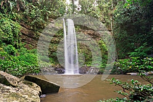 Ginseng waterfall in Maliau Basin