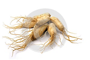 Ginseng On White Background. Generative AI