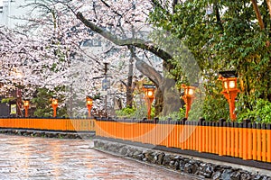 Gion Shirakawa, Kyoto, Japan in Spring