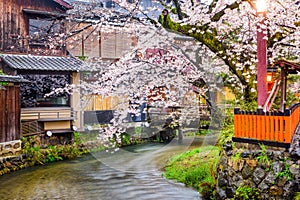 Gion Shirakawa, Kyoto, Japan in Spring