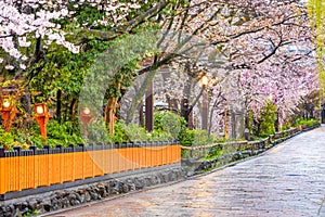 Gion Shirakawa, Kyoto, Japan in Spring