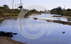 the Gir forest river from the shoreline. Blue reflections on the water, Late winter and early spring on the small river